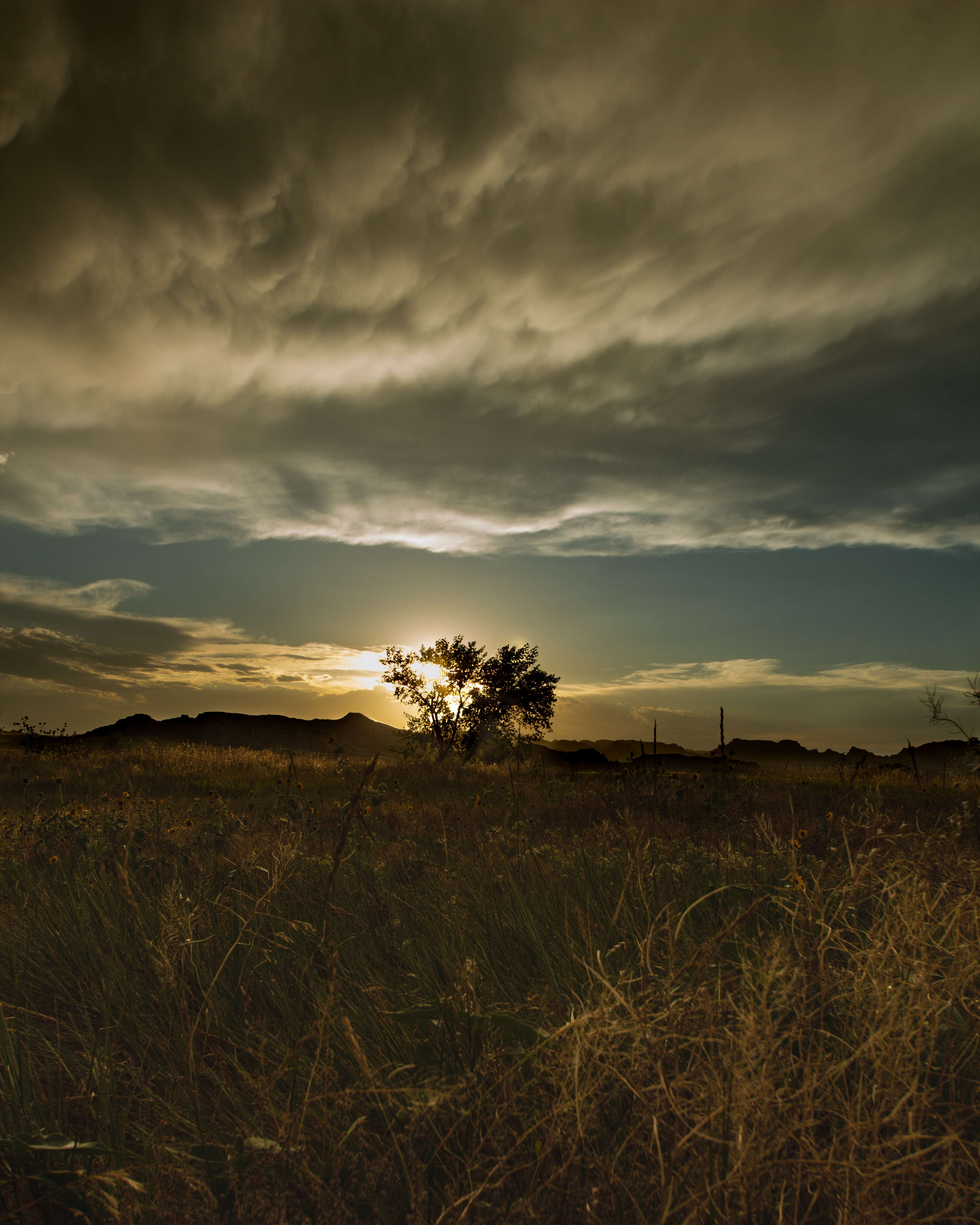 Photography by Green Sloth Productions